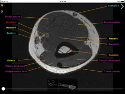 mskNAV screenshot 5