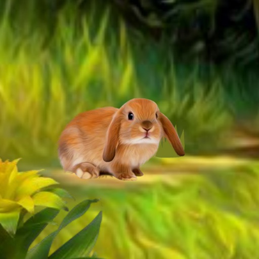 Rabbit River Escape iOS App