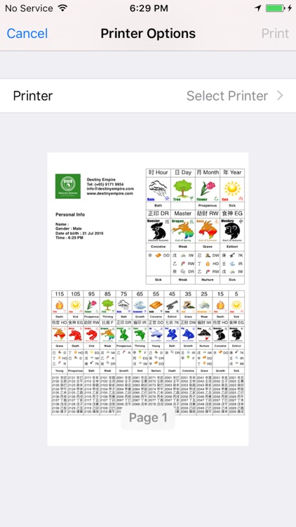 Bazi Calculator Destiny Empire screenshot-4