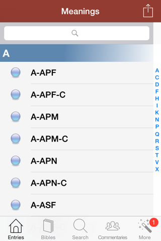 Скриншот из 1000 Bible Terms