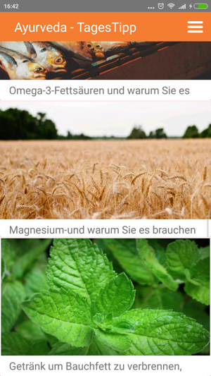 Ayurveda - Tages Tipp