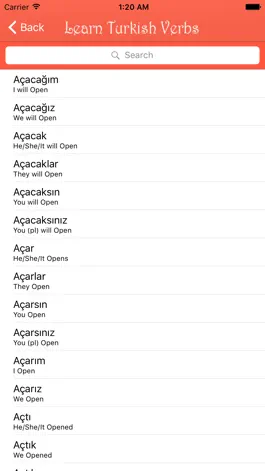 Game screenshot Learn Turkish Verbs - Dictionary apk