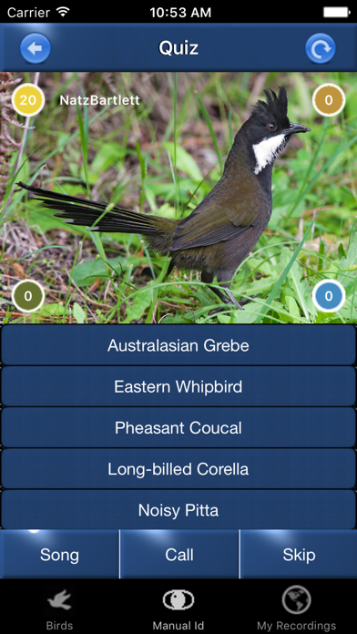 Bird Song Id Australia - Automatic Recognitionのおすすめ画像4