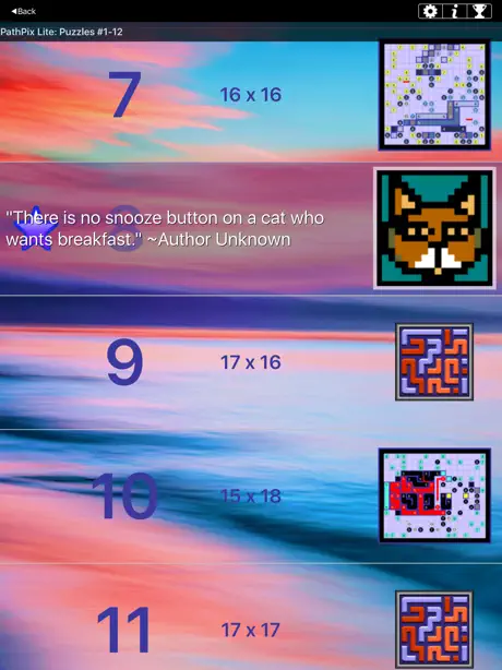 PathPix Lite