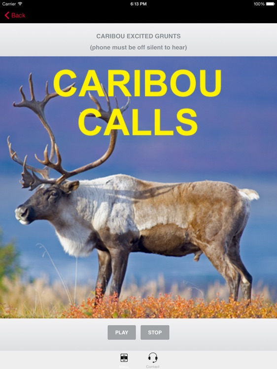 Caribou Calls for Big Game Hunting HD