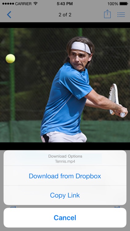iDL - File Manager for Cloud Platforms