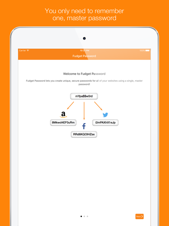 Password Generator & Vault iPad screenshot 4 - Productivity app