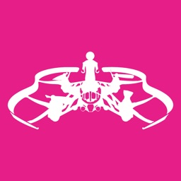 Basic Controller for Airborne Cargo Drone - iPad