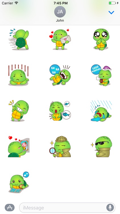 Funny Turtle Sticker