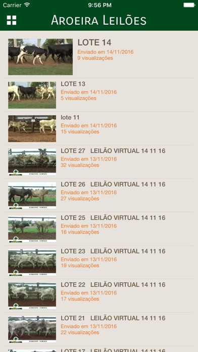 How to cancel & delete Aroeira Leilões from iphone & ipad 2