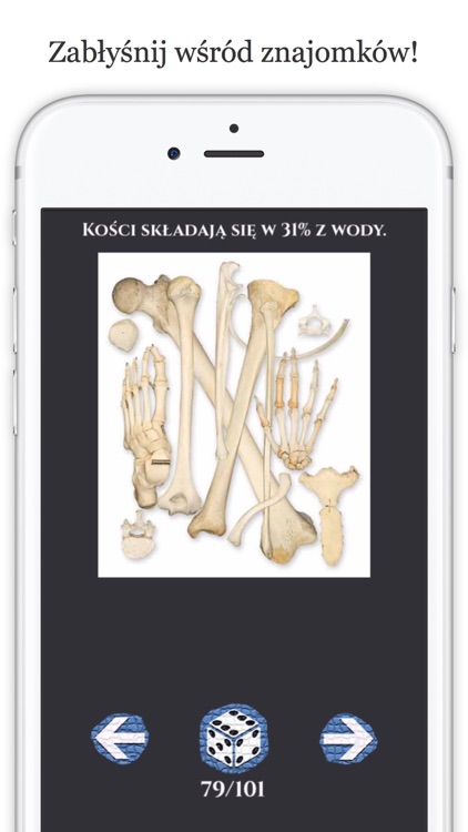 Ciekawostki - Niesamowite fakty