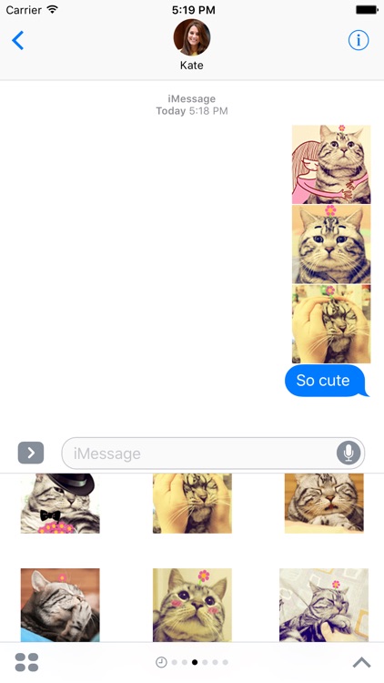 Lazy Cat Sticker