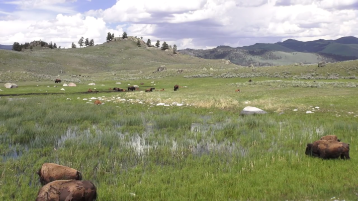 Screenshot #3 pour Real Landscapes HD