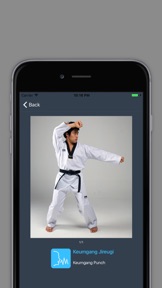Taekwondo Bible - Poomsae and Terminology screenshot