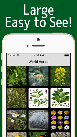 World Herbs!