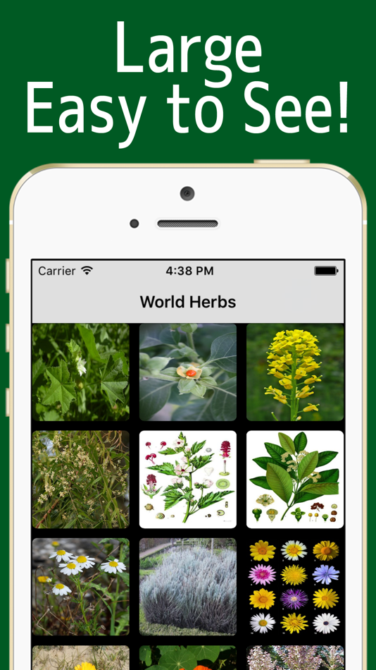 World Herbs! - 1.0.0 - (iOS)