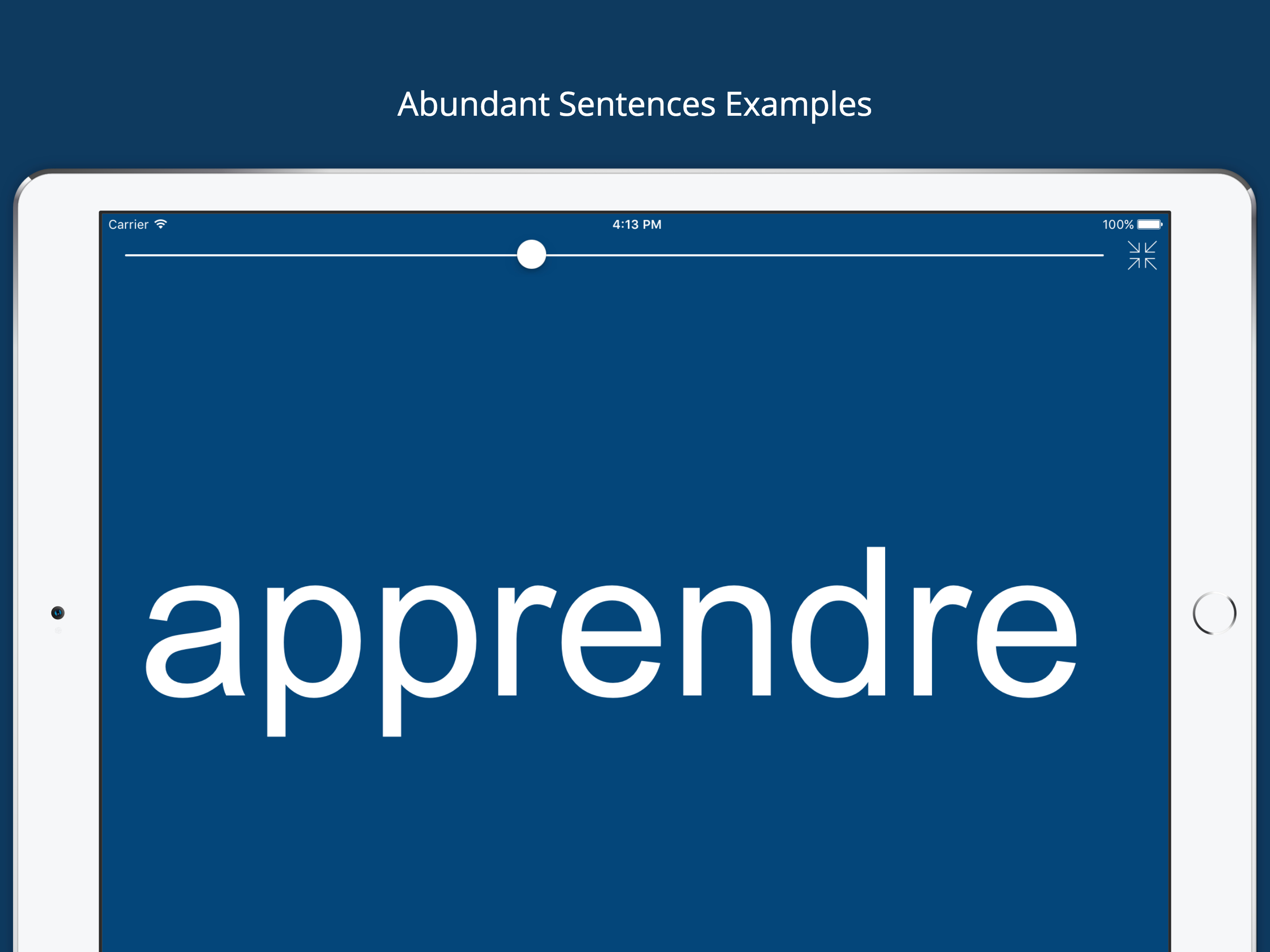 French English Dictionary Pro