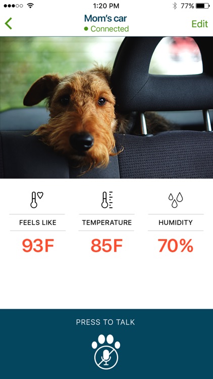 iMyK9: Dog monitor in your car