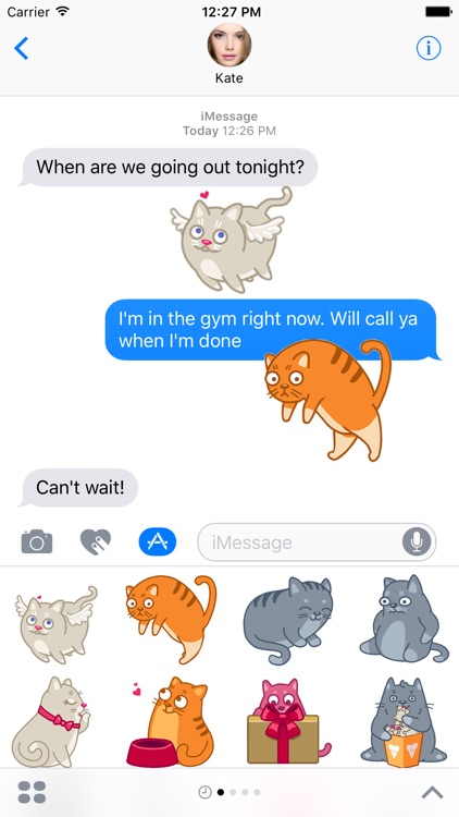 Cat Animated Stickers