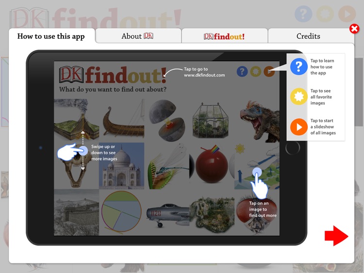 DKfindout! screenshot-3