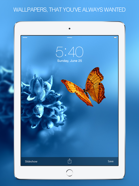 Screenshot #4 pour Insects Photography – Insect Wallpapers & Pictures