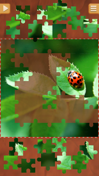 Screenshot #3 pour Feuilles Jeux De Puzzle Réels - Casse-tête Logique