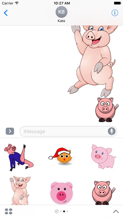 Funny Pig