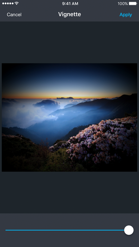 #4. Photo Editor App Pro (iOS) 由: Sergej Kachalo