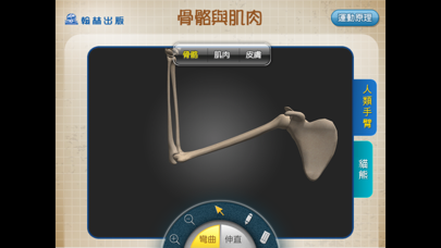 Screenshot #3 pour 3D骨骼與肌肉