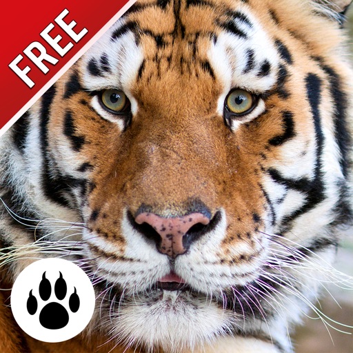Forest & Jungle Animals Puzzle 2 : Logic Game Free icon