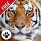 Forest & Jungle Animals Puzzle 2 : Logic Game Free