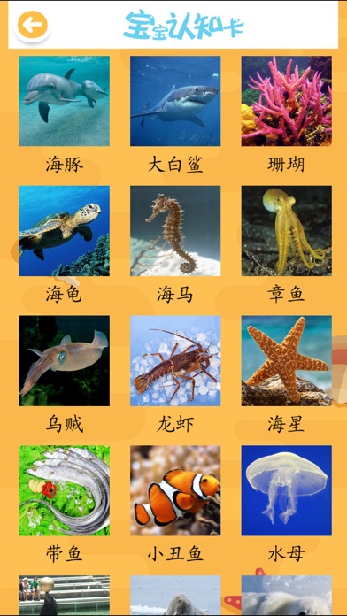 Abc宝宝学汉字认海洋动物大巴士全集app 苹果商店应用信息下载量 评论 排名情况 德普优化 Abc宝宝学汉字认海洋动物大巴士全集app 苹果商店应用信息下载量 评论 排名情况 德普优化