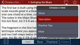 Game screenshot Matt Warnock Guitar : 101 Jazz Guitar Licks hack