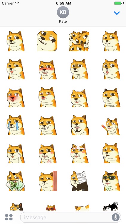 Crazy Doge