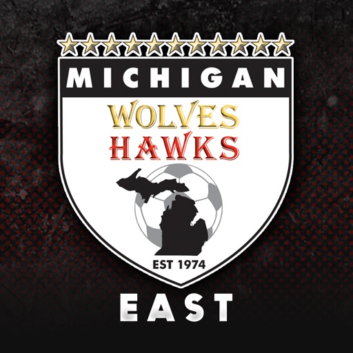 Michigan Wolves Hawks East icon