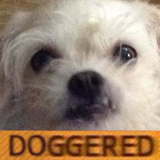 Doggered icon