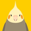 Animated Bird Stickers - Tori no iro