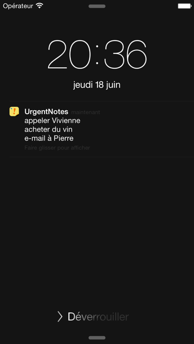 Screenshot #2 pour Urgent Notes