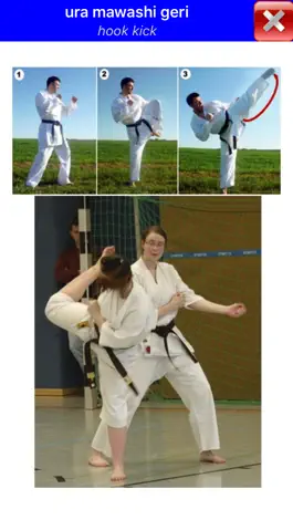 Game screenshot Karate WKF apk