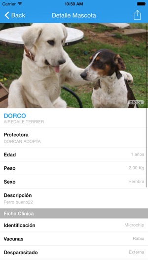 AdoptMe(圖2)-速報App