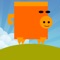 Running Pig Evolution - Help Piggy Go Farm