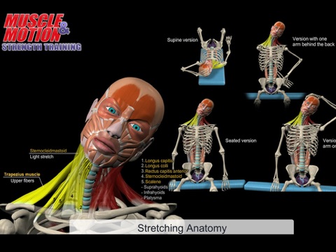 Muscle and Motion Strength Training screenshot 4