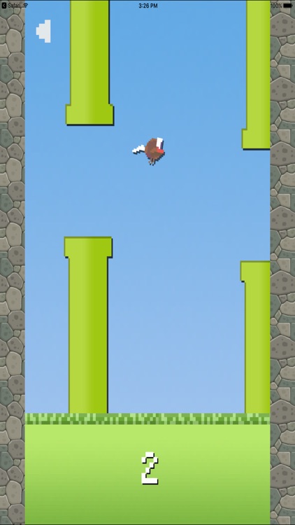 Small Fly Afraids Of Water