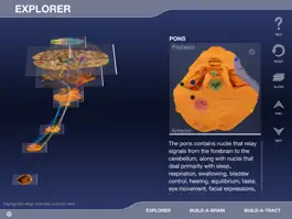 Game screenshot Build-A-Brain Explorer mod apk