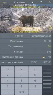Фокус lt - калькулятор dof айфон картинки 4
