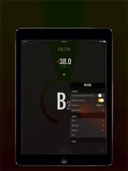 pitch - chromatic tuner ipad resimleri 4