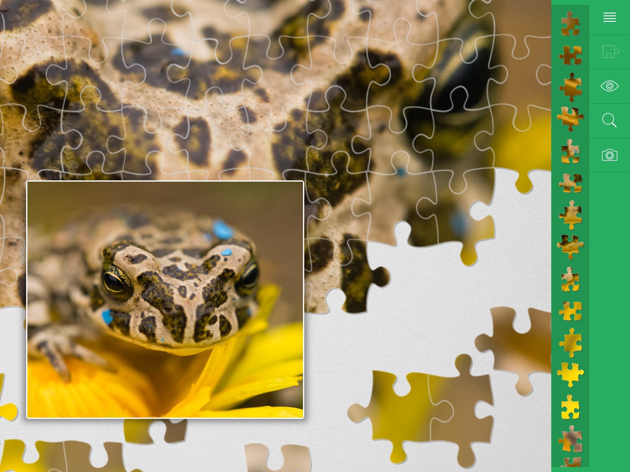 1000 Jigsaw Puzzles Nature screenshot 3