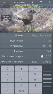 Фокус - фото калькулятор глубины резкости айфон картинки 3