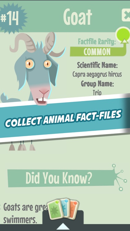 Quiz Owl's - Animal Trivia screenshot-3