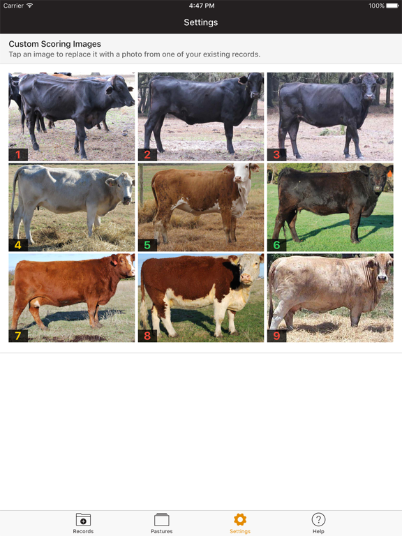 Screenshot #6 pour Beef Cow BCS